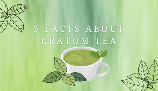 Top 3 facts that you should know about Kratom tea