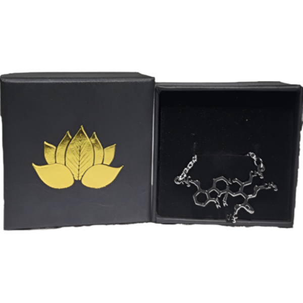 Alkaloid Stainless Steel Kratom Necklace and box eds