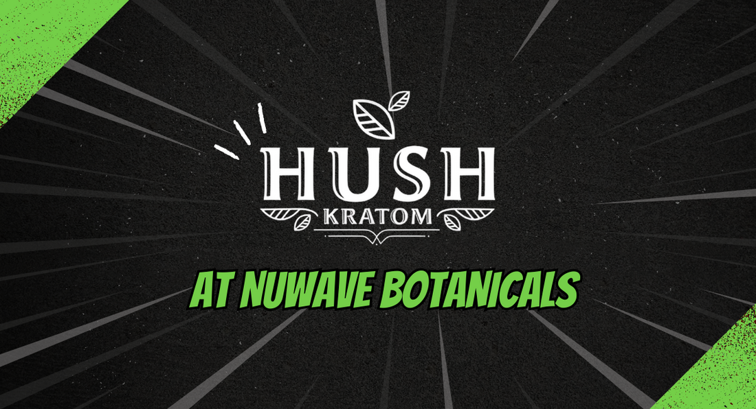 6 Things To Know Before Buying Hush Kratom At NuWave Botanicals