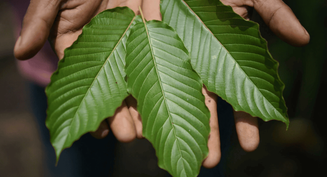 Kratom Arkansas law update