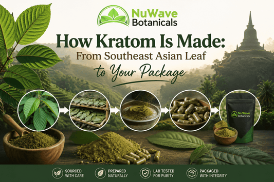 How Kratom Is Made: From Southeast Asian Leaf to Your Package