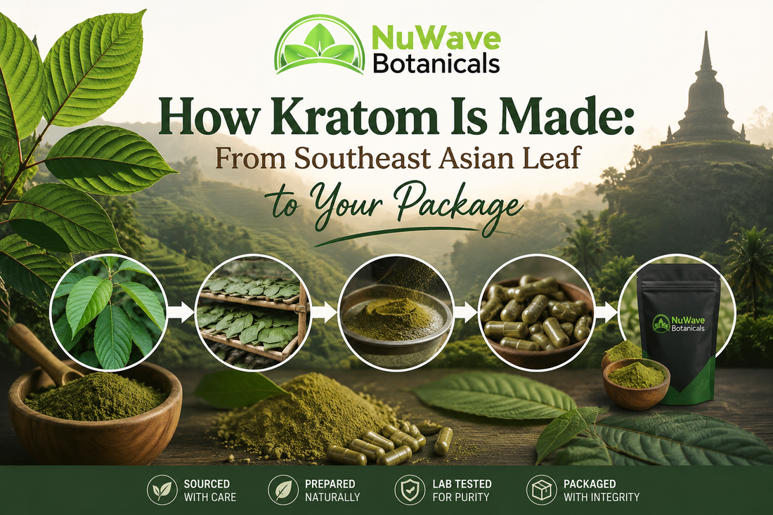 How Kratom Is Made: From Southeast Asian Leaf to Your Package