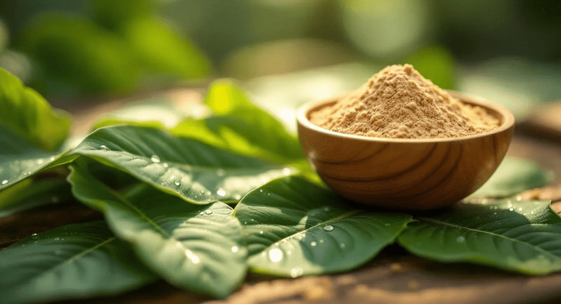 How Long Does Kava Stay In Your System? What Science Says