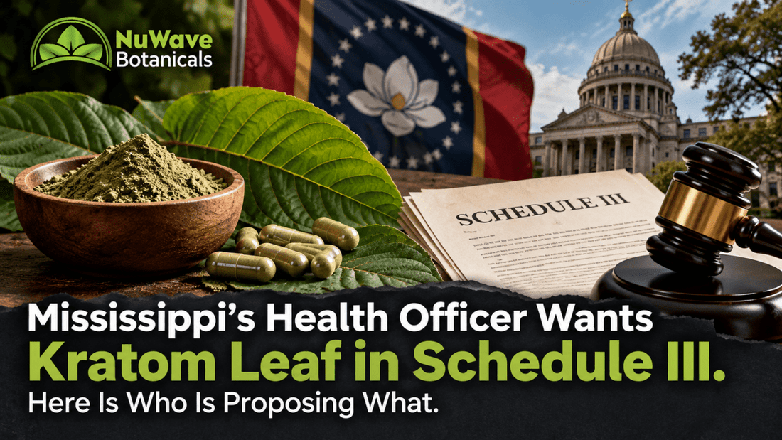 Mississippi's Health Officer Wants Kratom Leaf in Schedule III. Here Is Who Is Proposing What.