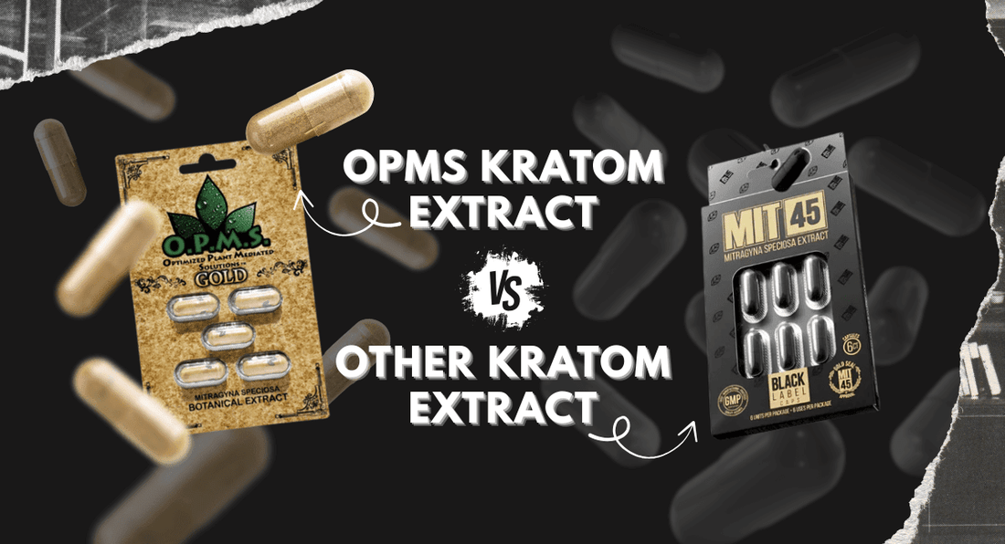 OPMS Kratom Extract vs Other Kratom Extracts: Full Comparison