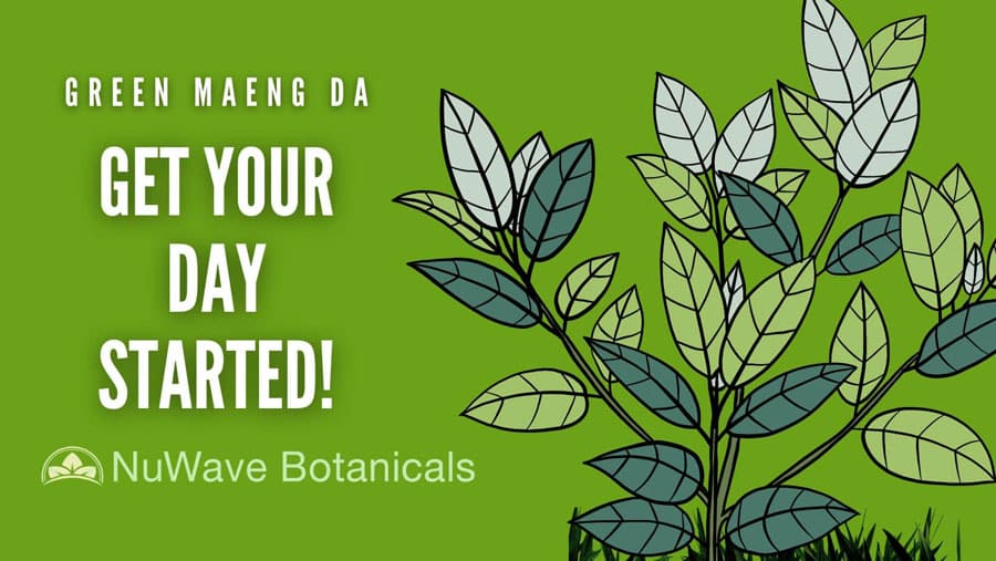 Green Maeng Da Kratom: It’s Time to Get your Day Started!