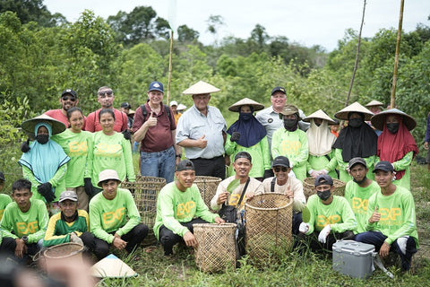 Where Kratom Comes From: The Southeast Asian Origins of Mitragyna speciosa