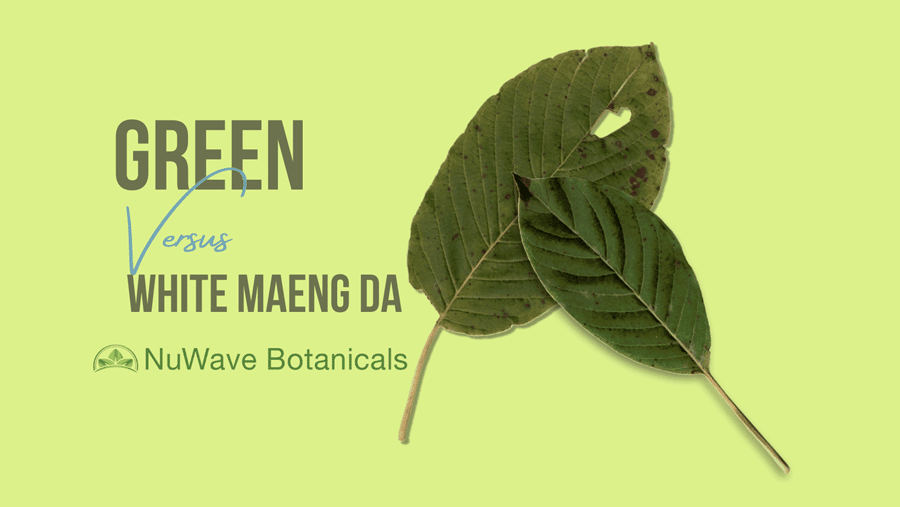Green Maeng Da Vs. White Maeng da Kratom: Could this be the Best Kratom Strain?