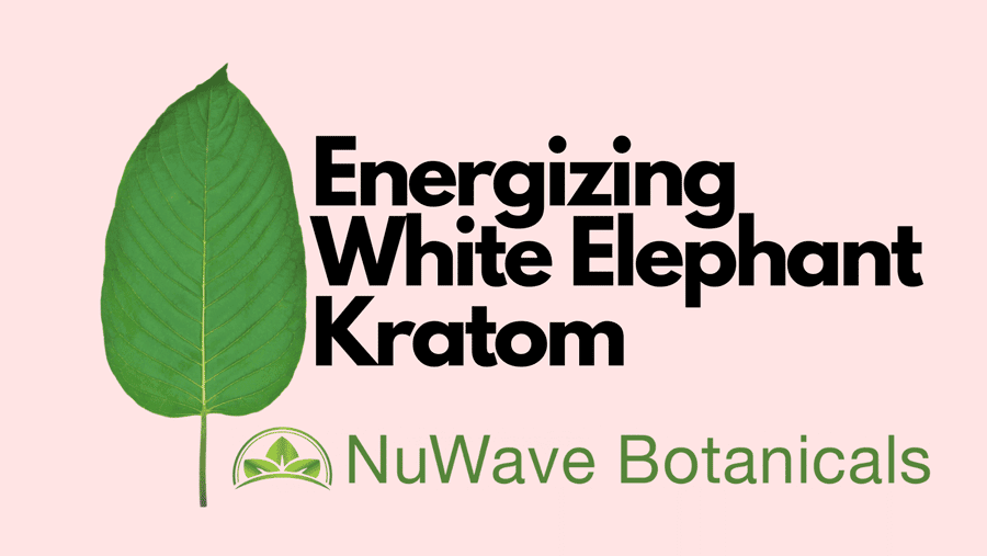 Euphoric & Energizing: The Best White Elephant Kratom
