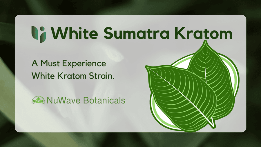 The Must-Try White Sumatra Kratom Strain 2022‍