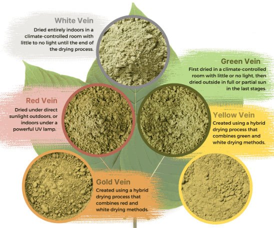 Assorted kratom powder varieties — NuWave Botanicals