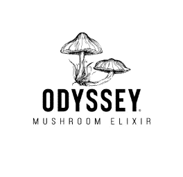 Odyssey