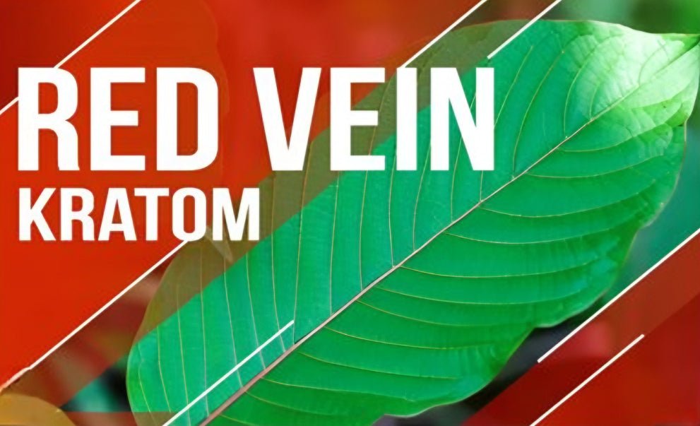Red Vein Kratom and fresh kratom leaves on display — NuWave Botanicals