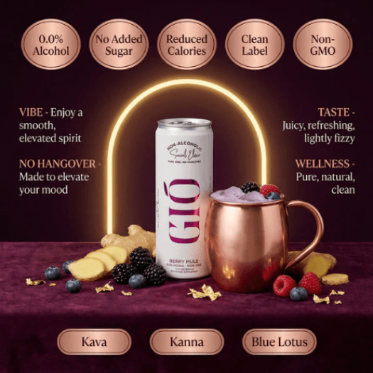 Gio Non-Alcoholic Botanical Social Elixir Alternatives
