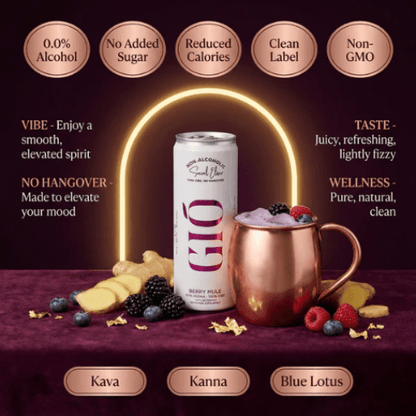 Gio Non-Alcoholic Botanical Social Elixir Alternatives