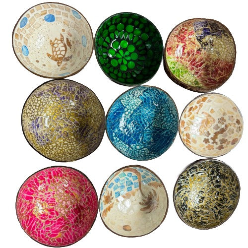 Coconut Shells Variety Pack of 5