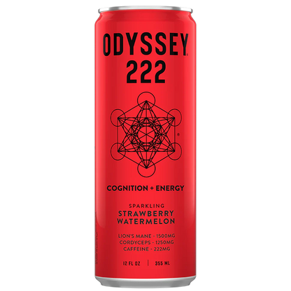 Odyssey 222