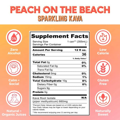 Botanical Brewing Sparkling Elixir